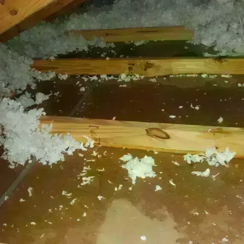 Attic Water Damage in Lagunitas-Forest Knolls, CA